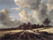 RUISDAEL, Jacob Isaackszon van Wheat Fields dh oil on canvas